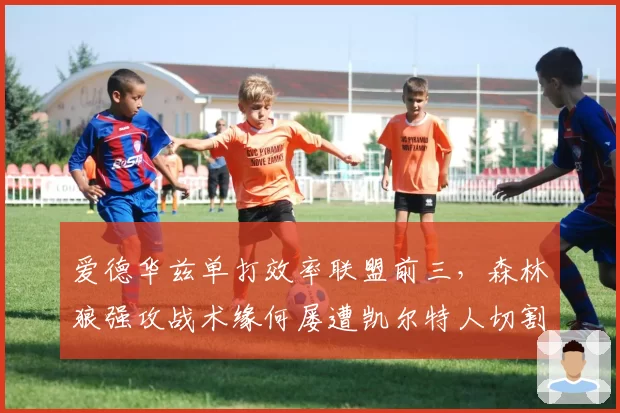 爱德华兹单打效率联盟前三，森林狼强攻战术缘何屡遭凯尔特人切割？