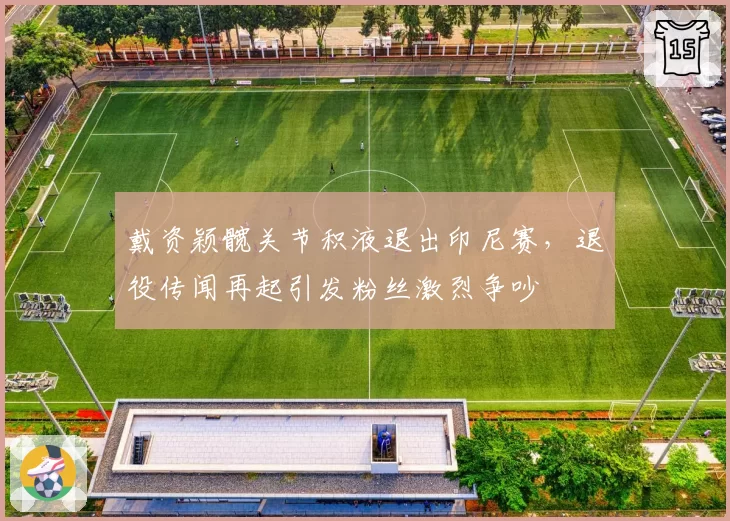 戴资颖髋关节积液退出印尼赛,退役传闻再起引发粉丝激烈争吵