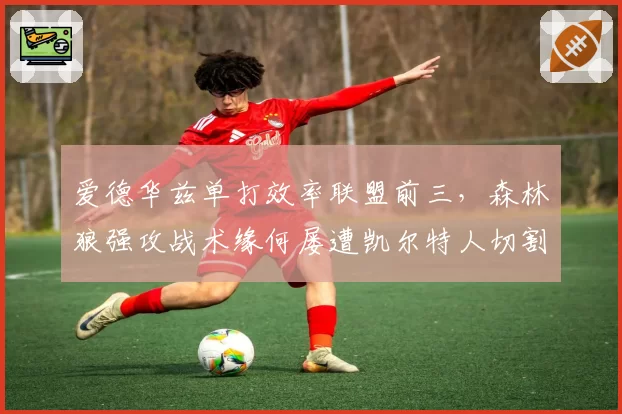 爱德华兹单打效率联盟前三，森林狼强攻战术缘何屡遭凯尔特人切割？