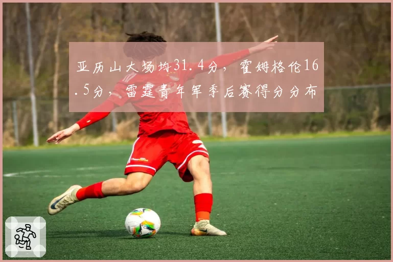 亚历山大场均31.4分，霍姆格伦16.5分，雷霆青年军季后赛得分分布