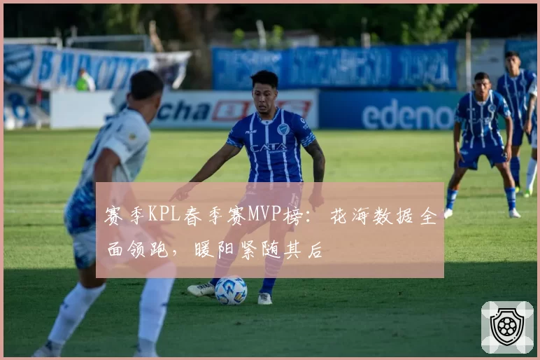 赛季KPL春季赛MVP榜:花海数据全面领跑,暖阳紧随其后