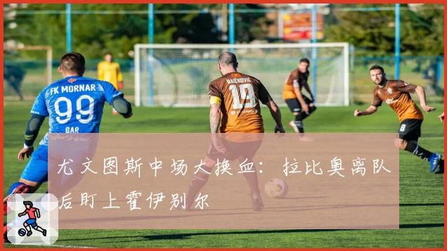 尤文图斯中场大换血：拉比奥离队后盯上霍伊别尔