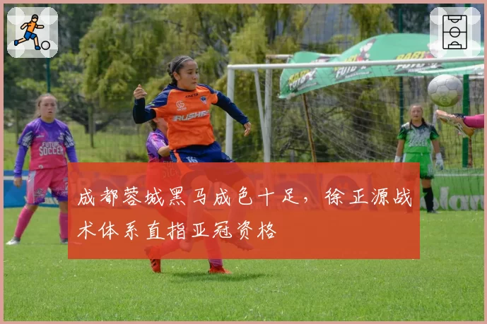 成都蓉城黑马成色十足，徐正源战术体系直指亚冠资格